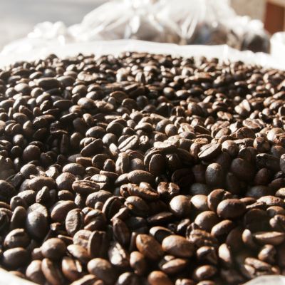 WHOLESALE – 12oz Coffee Bag (Case of 8)